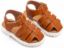 Picture of Αρχαιοελληνικό Πέδιλο GR0099 Terracotta